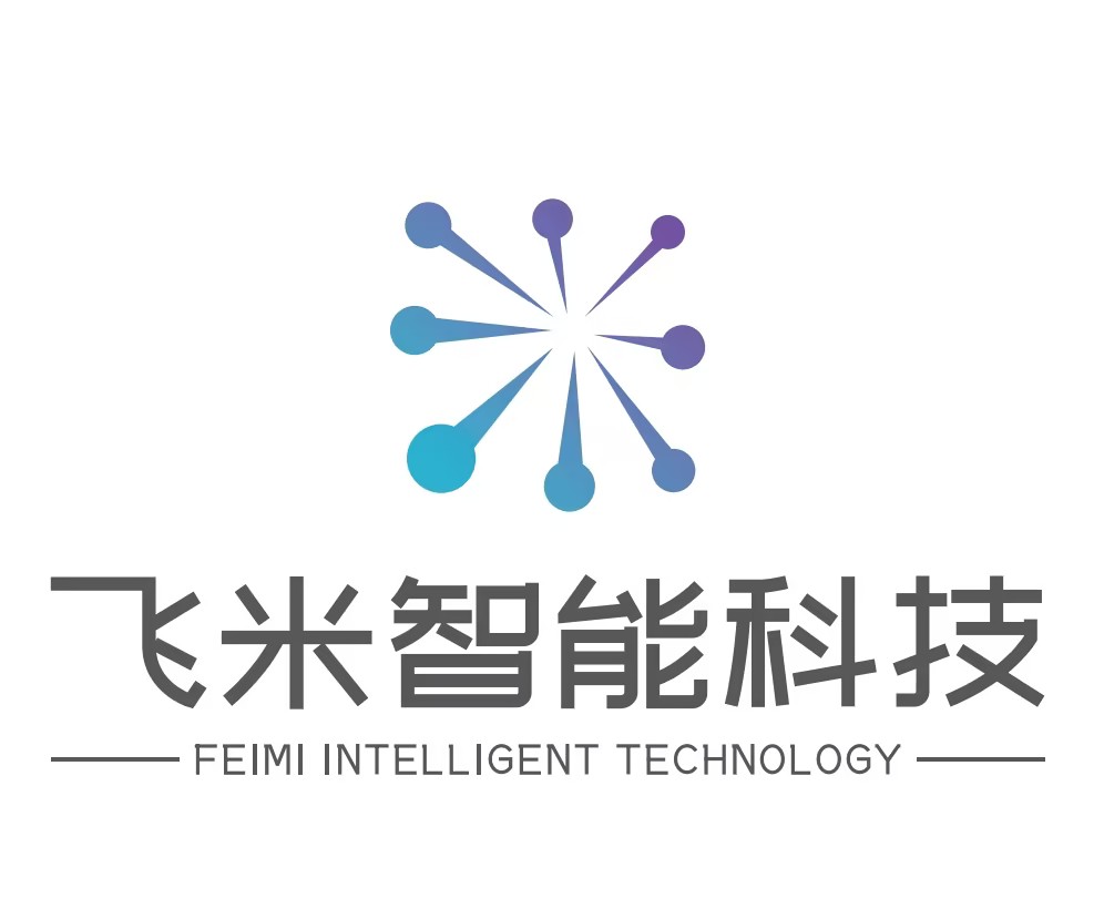 飞米智能科技 FEIMI INTELLIGENT TECHNOLOGY